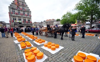 Cheese market in Gouda in the Netherlands