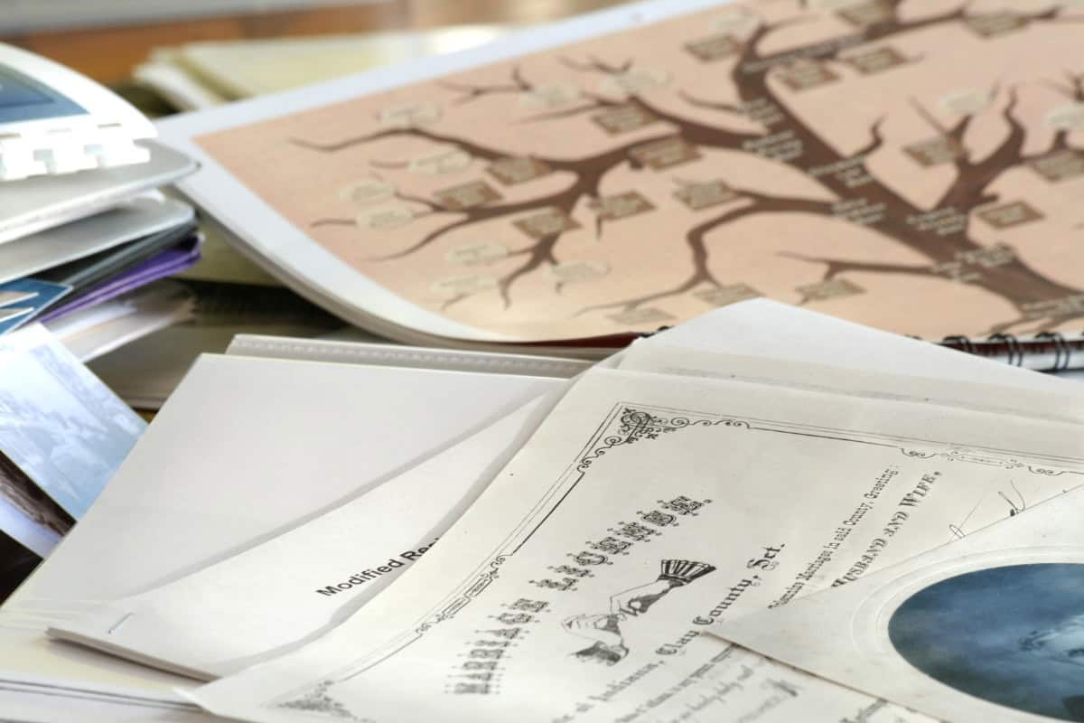 Which online resources are best for Dutch genealogy research