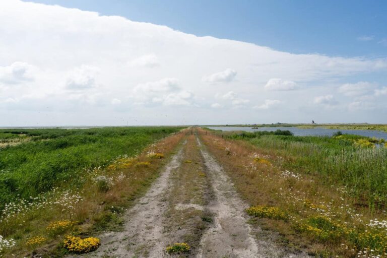 Marker Wadden