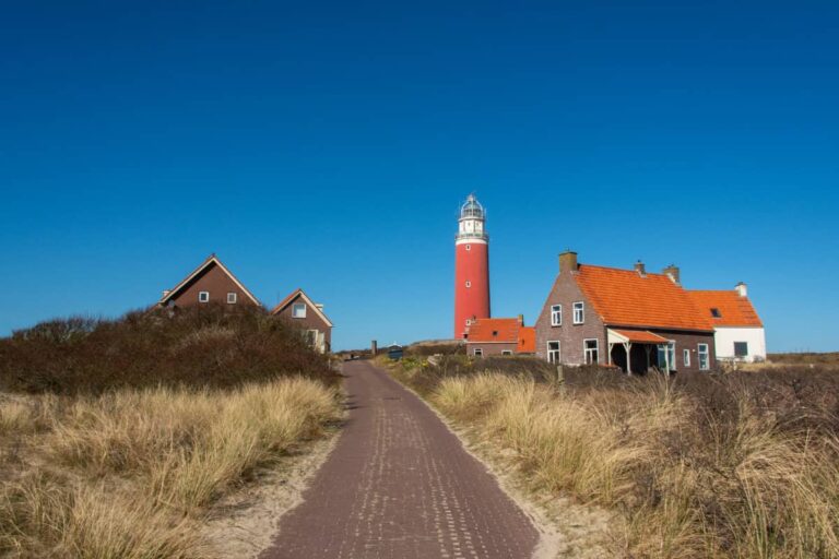 Texel