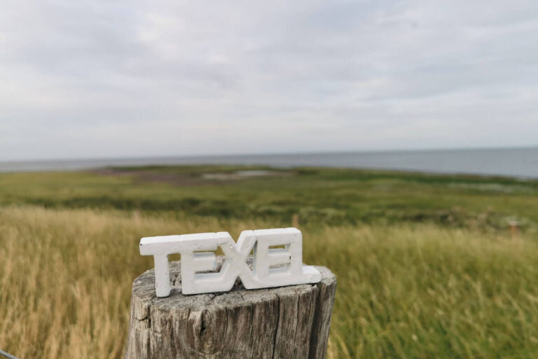 Things to do in Texel