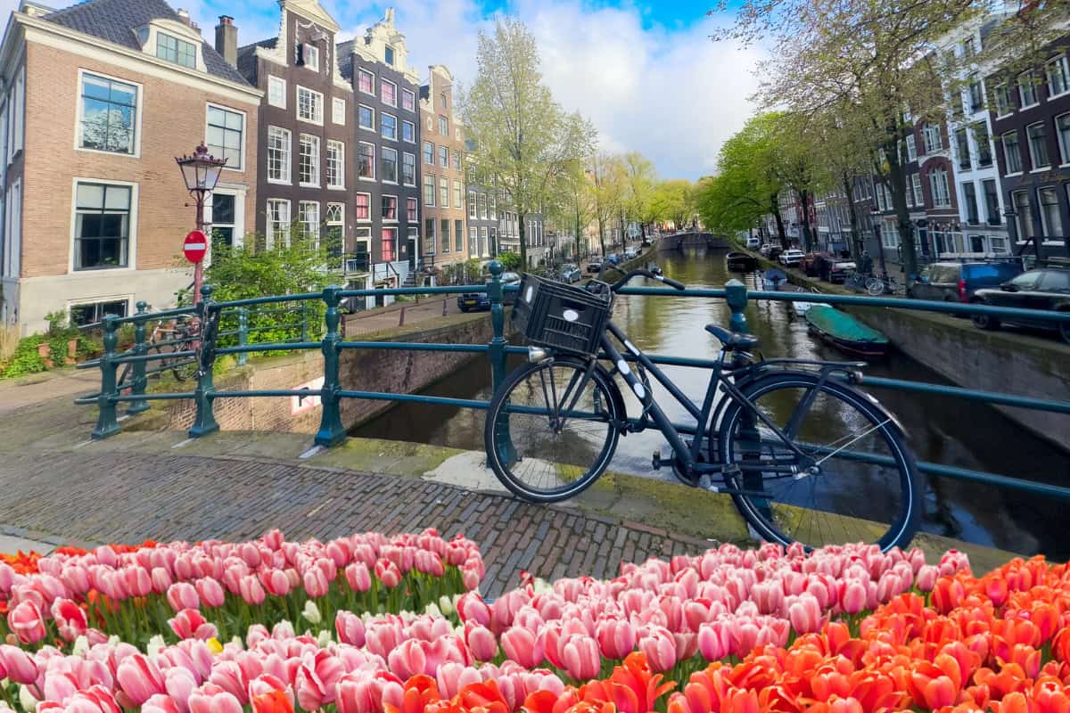 Netherlands travel guide for Canadians